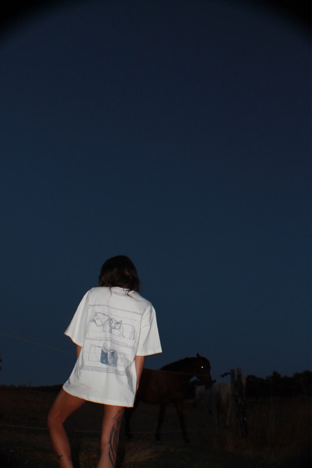 Horse In Progress T-shirt
