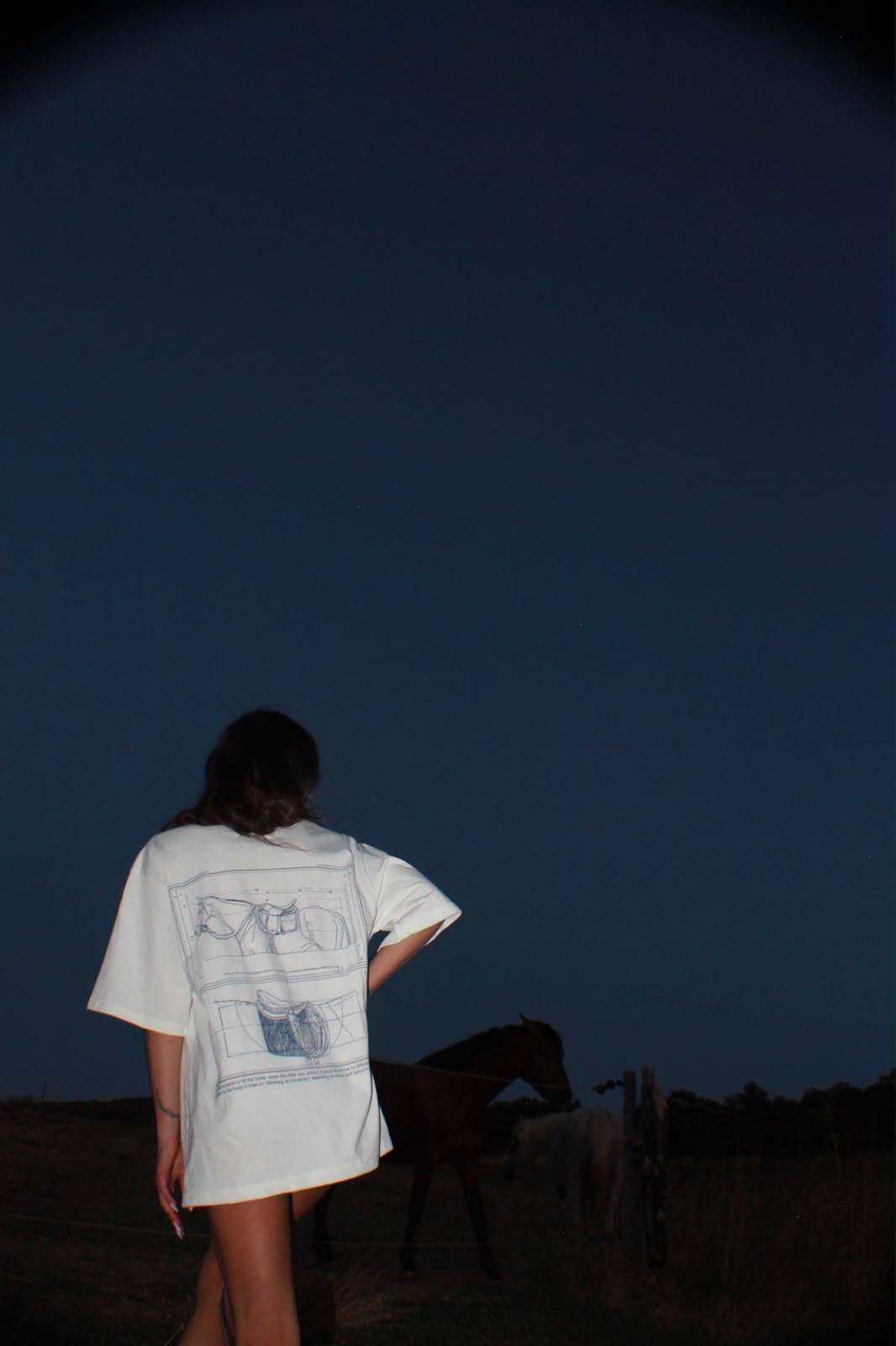 Horse In Progress T-shirt